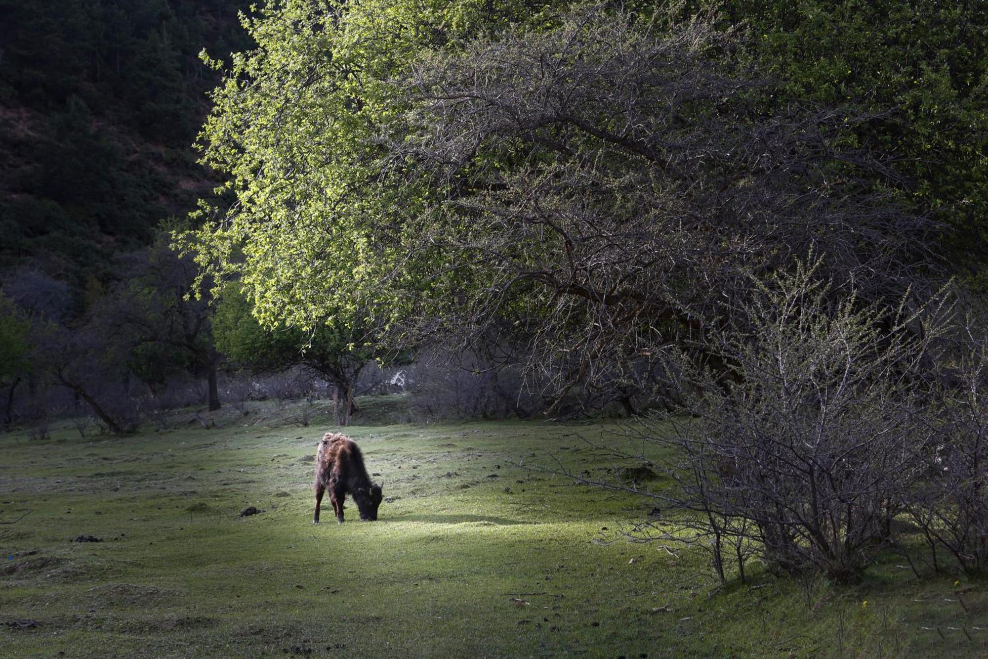 Отель Banyan Tree Ringha Шангри-Ла Экстерьер фото